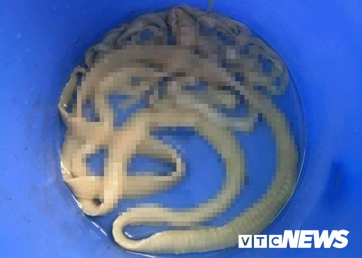 46654910_1989587141124105_1045969268383940608_n