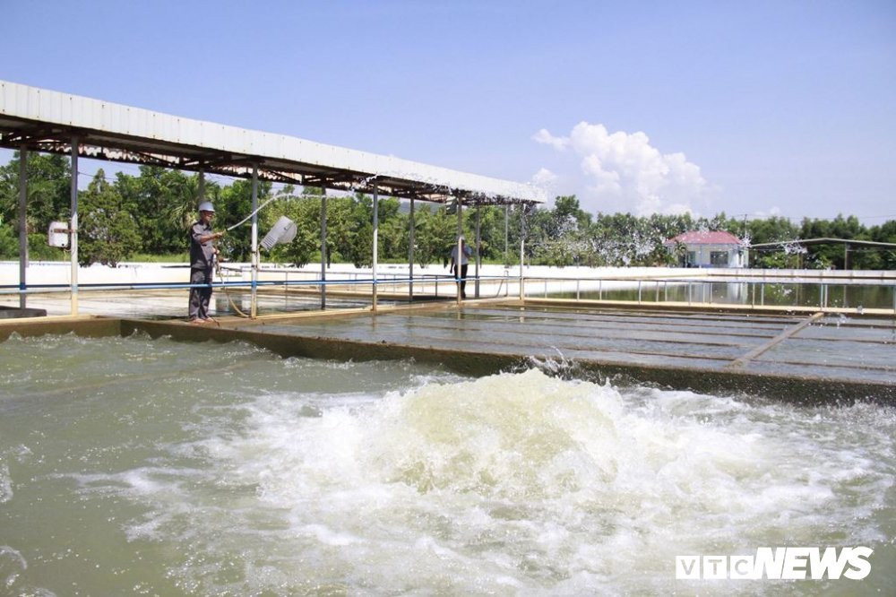 thieu-nuoc-2027203 5