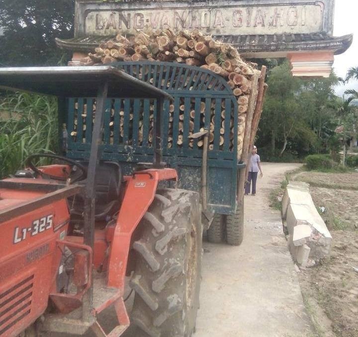 47246591_2278197955550354_4138722299941486592_n 3