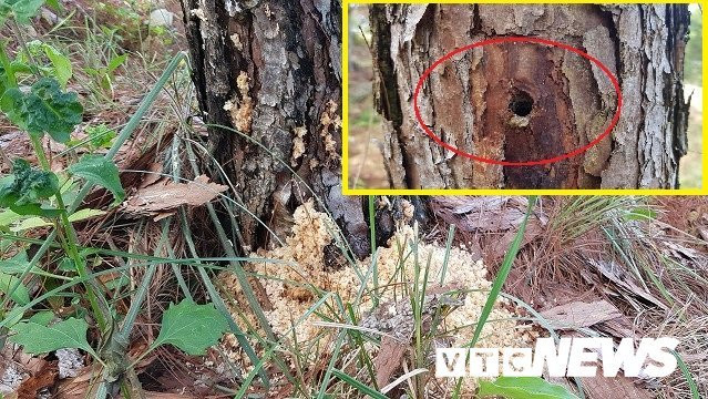 766fc7fc2267c2399b76-1542857019-width640height360-1531150