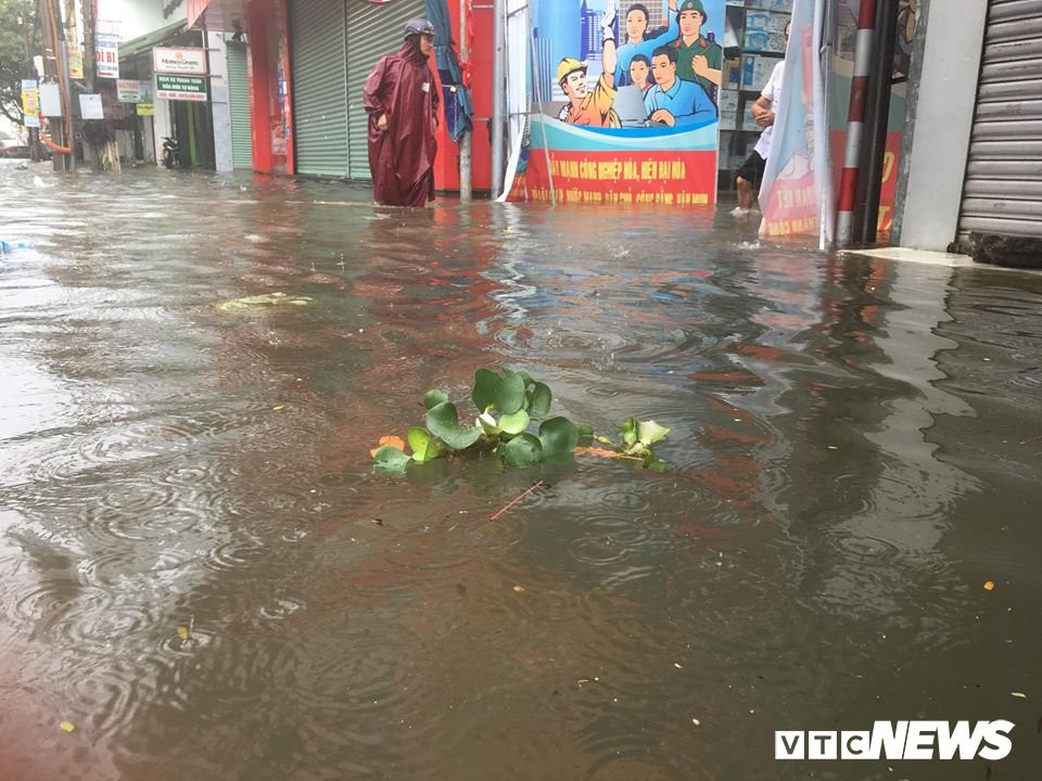 48064336_2283028911918112_3173317942196568064_n 4