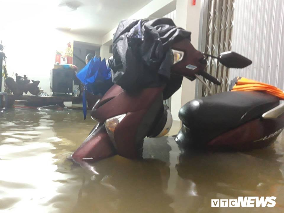 48360306_310259109582777_4551605524809908224_n 5