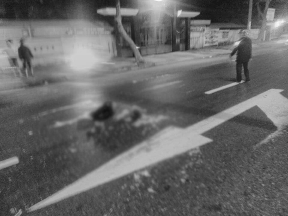 49461677_853510865029991_6826112151984275456_n