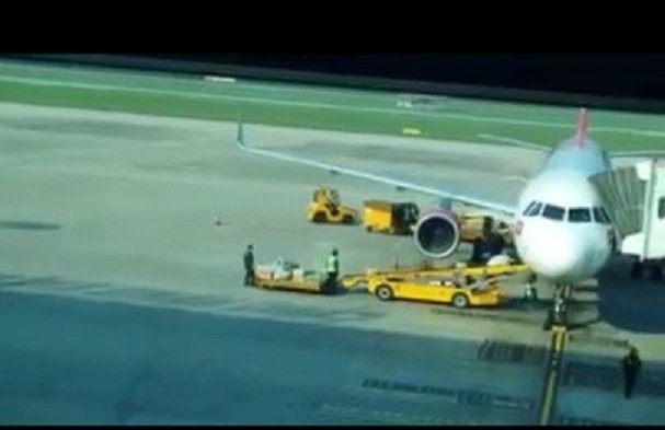 52914644_248459402700008_8856153527047684096_n