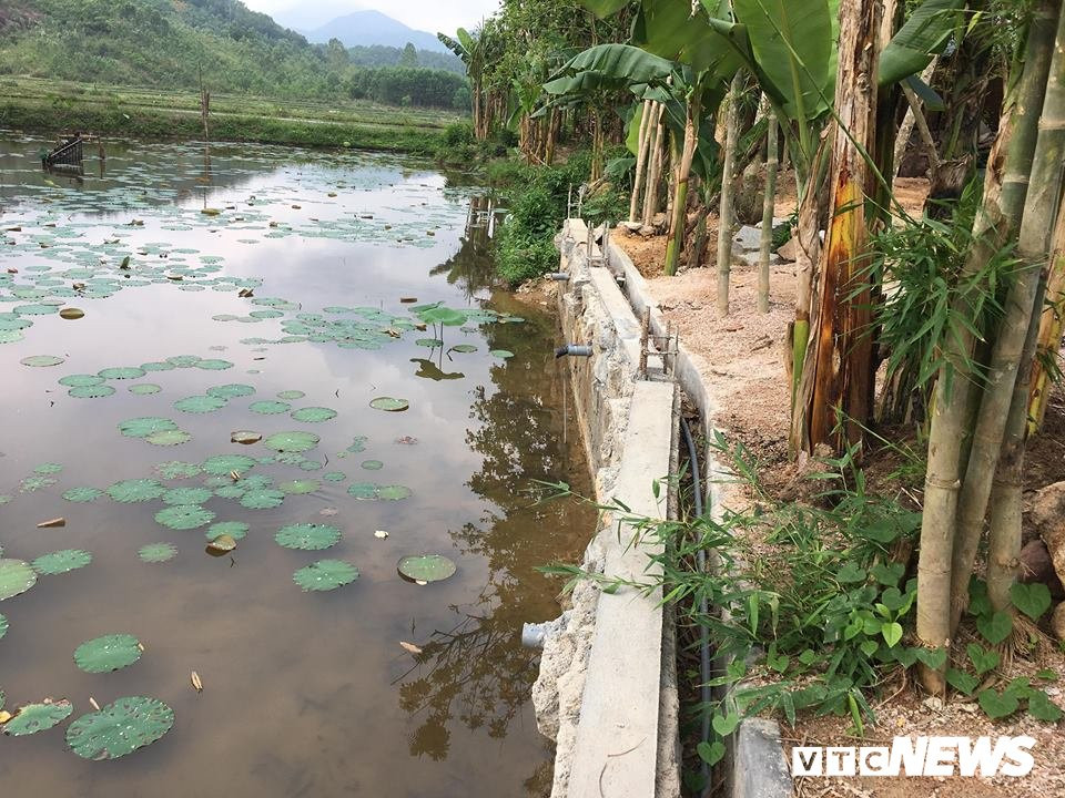 53797699_296761744571675_3304246786104754176_n 4