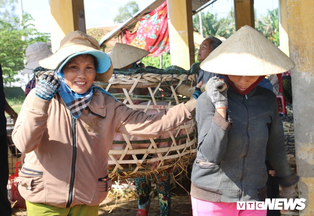 anh-3-bong-heo-3-1501331 3