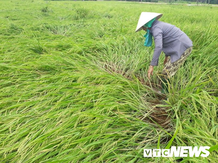 55783795_1069211666612840_1314577682716950528_n