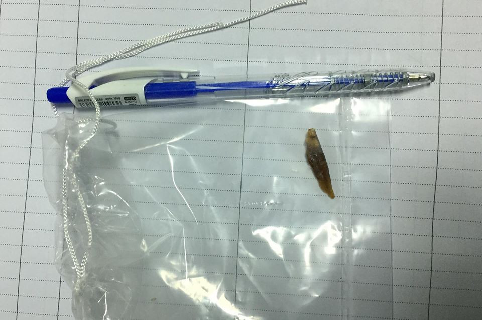 56157855_2364392386906748_1461212921378897920_n