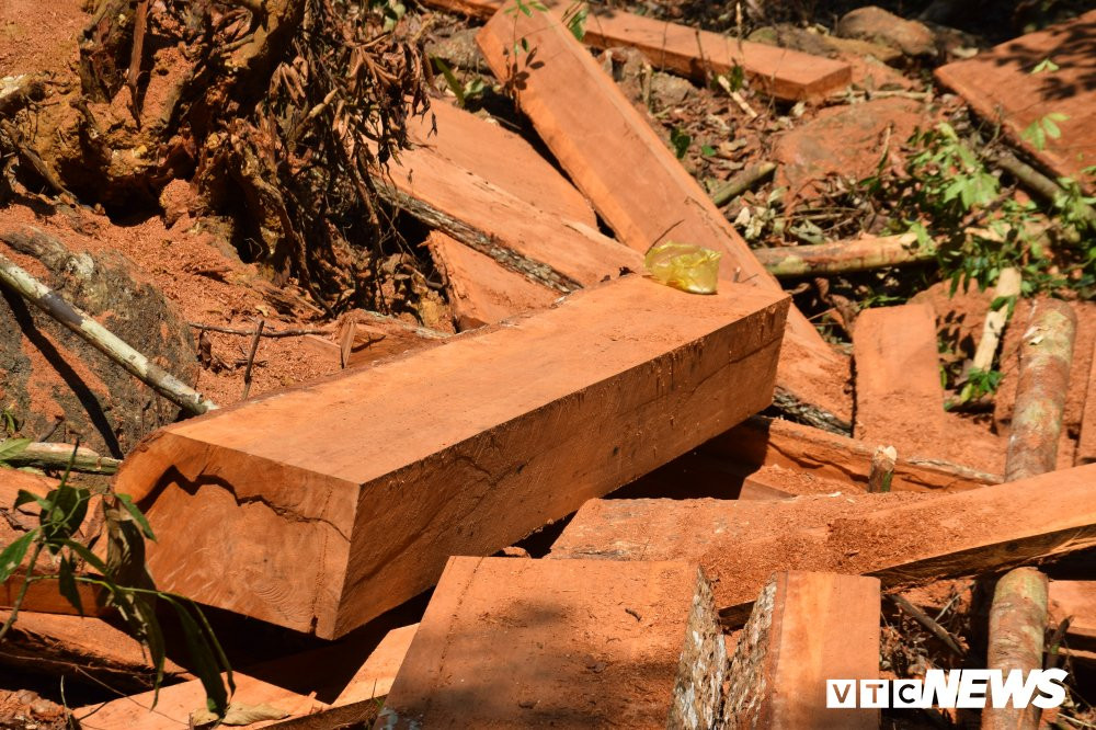 Anh-pha-rung-phong-ho 2