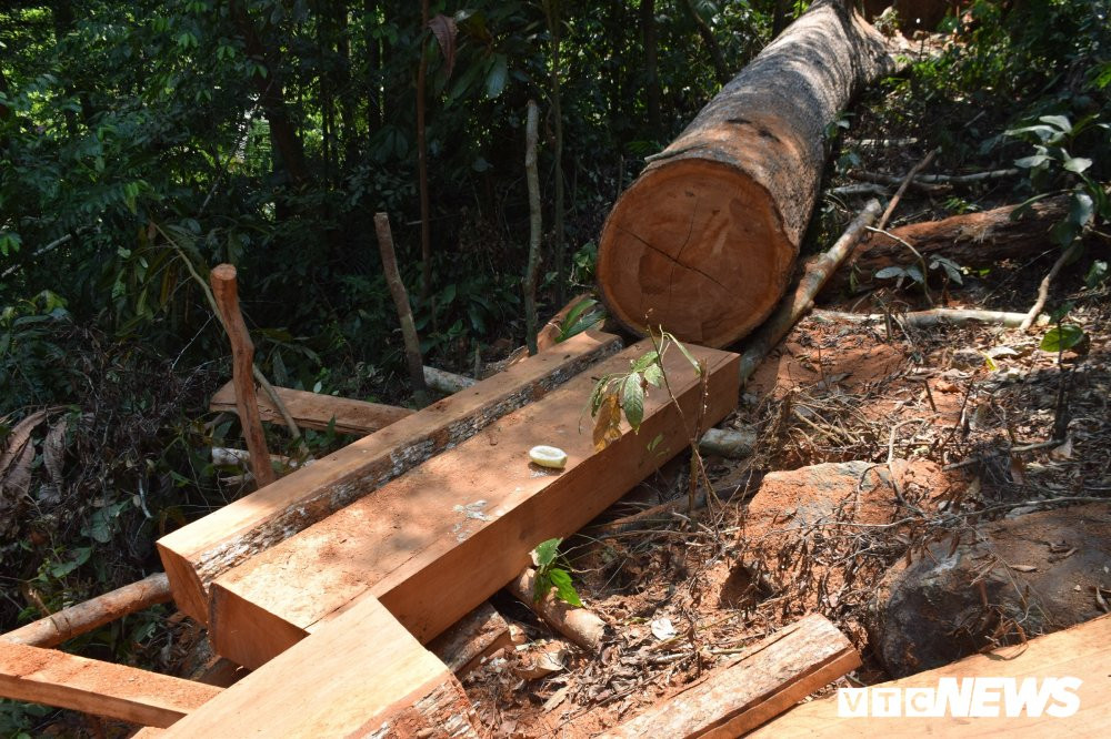 Anh-pha-rung-phong-ho 3 3