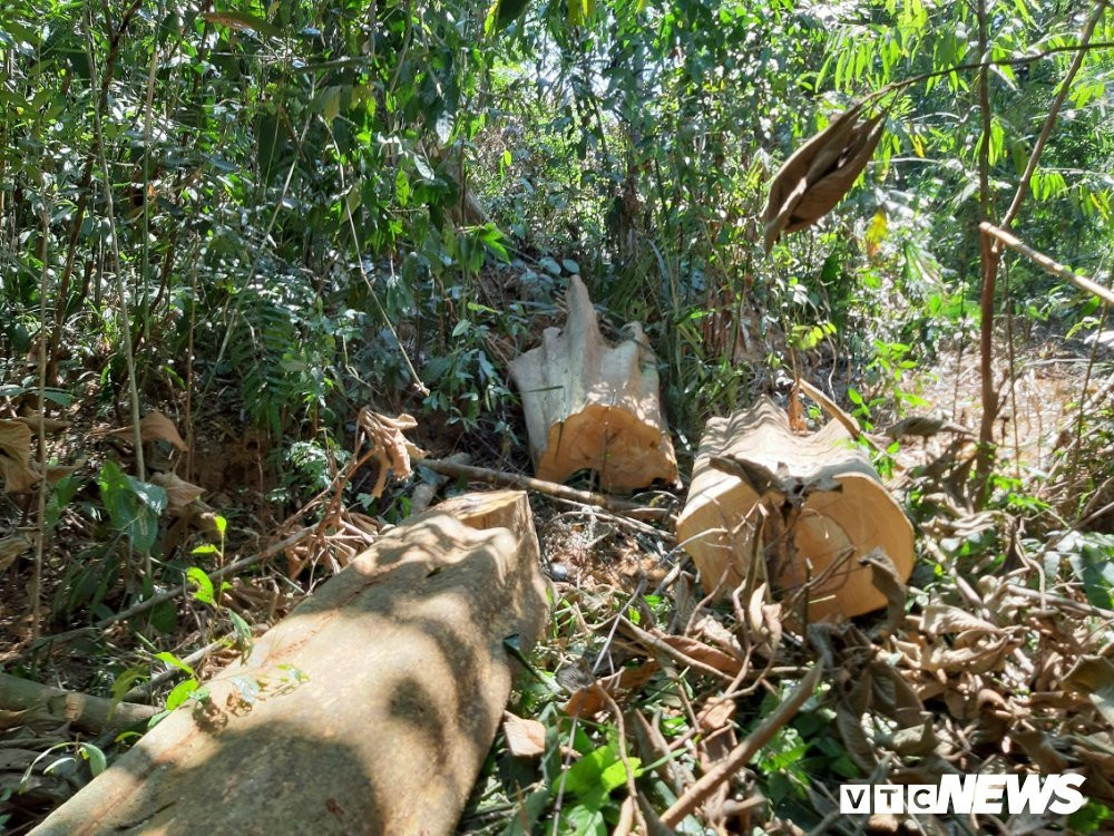 Anh-pha-rung-phong-ho 4 4