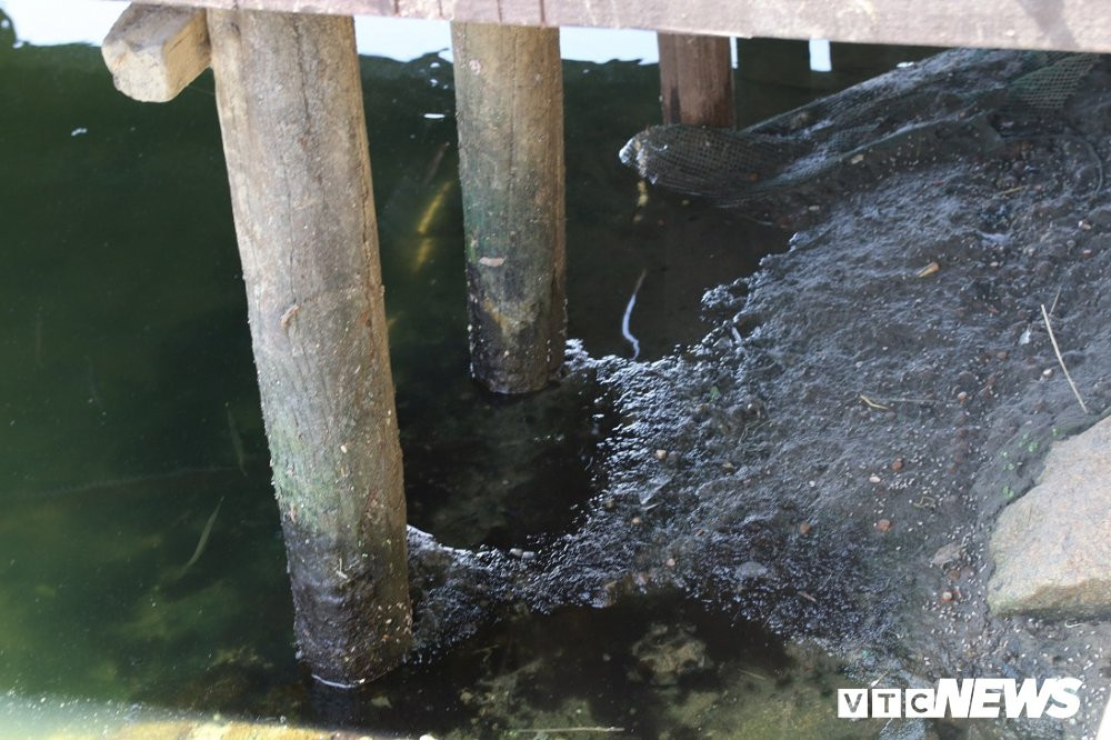 Chùa-Cau-o-nhiem (23) 6