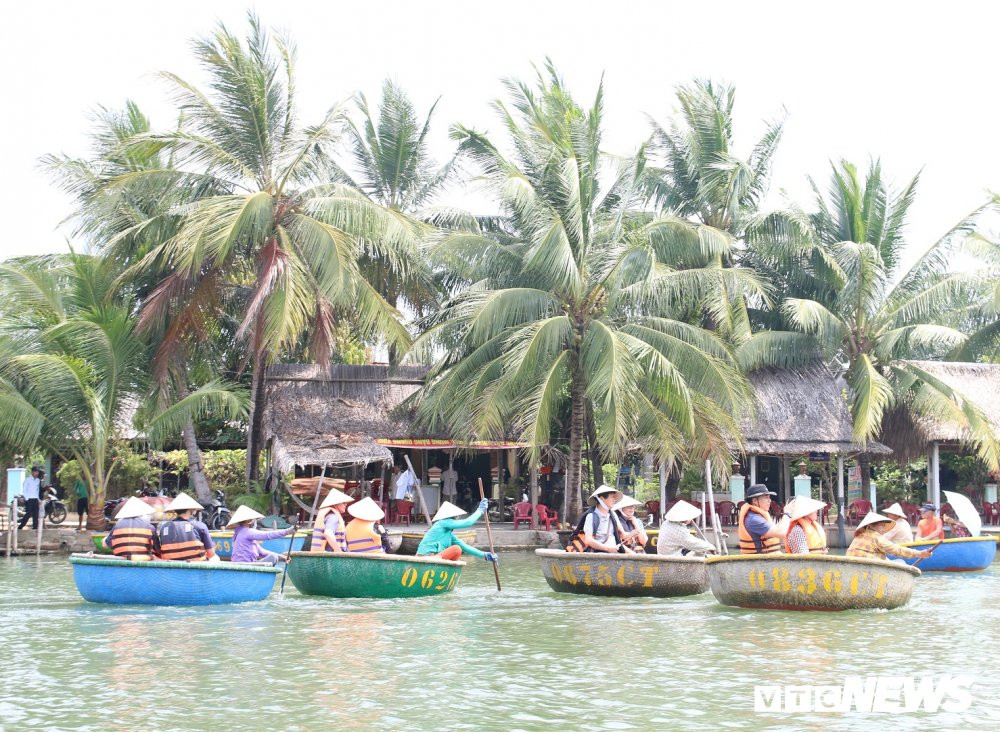 2 Rung-dua-Bay-Mau (30)