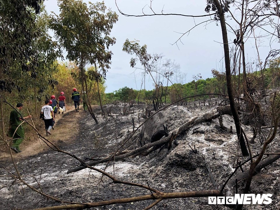 chay-rung-2-1451254 3