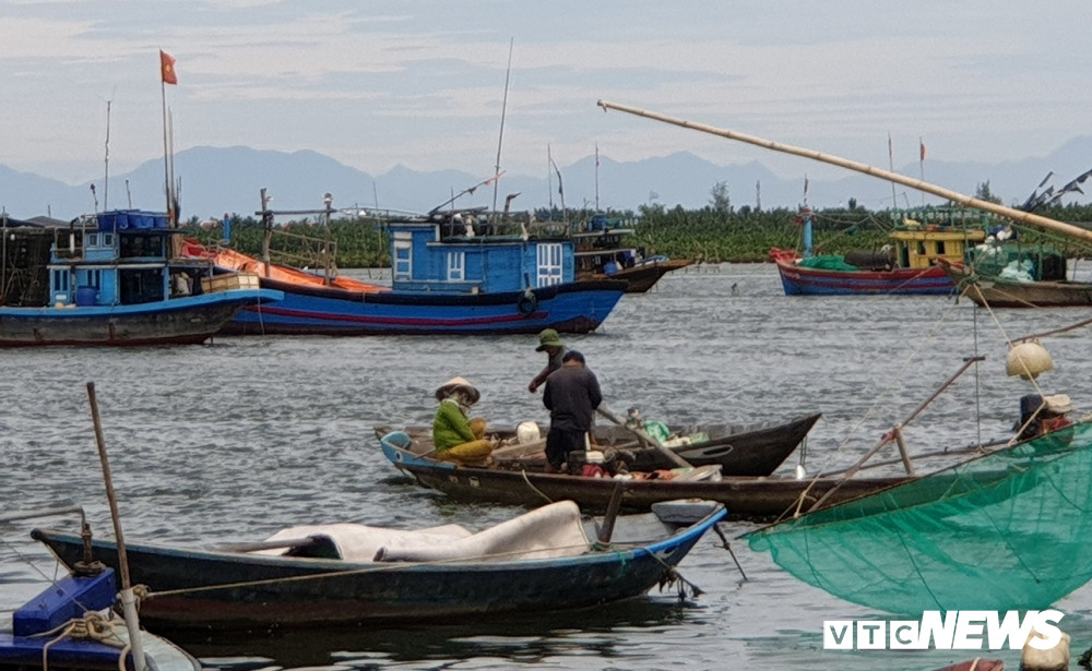 Sụt lún bất thường nơi hạ nguồn sông, bồi xói khôn lường giữa biển ở Quảng Nam - 3