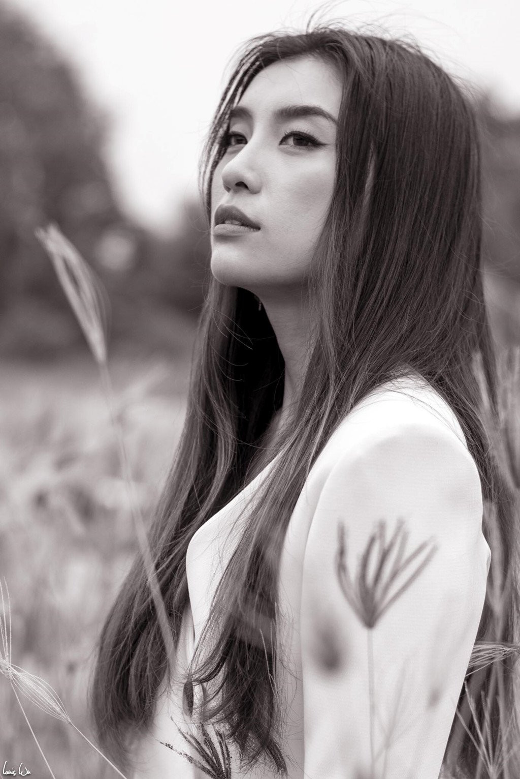 Tieu Chau Nhu Quynh: 'Toi nghi minh dung khi mac gay soc tren tham do' hinh anh 3