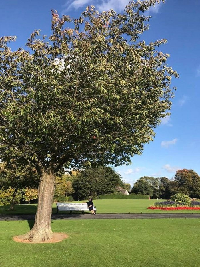 tien_phong_btvvananh10_nmzq 6