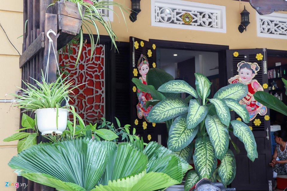 nha cua hoa hau tieu vy (8) 25