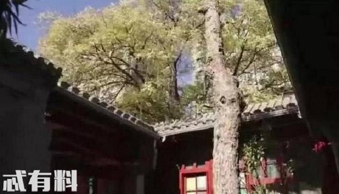 pham bang bang va ly than (3) 9