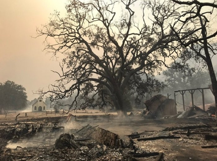 phim truong bi chay (1)