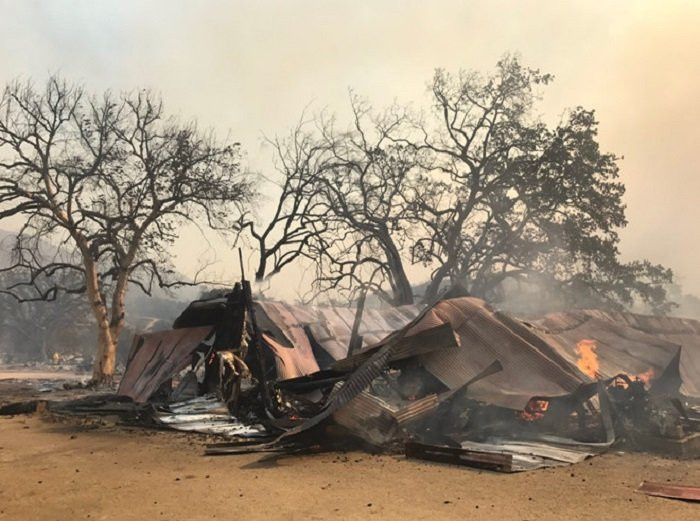 phim truong bi chay (2)