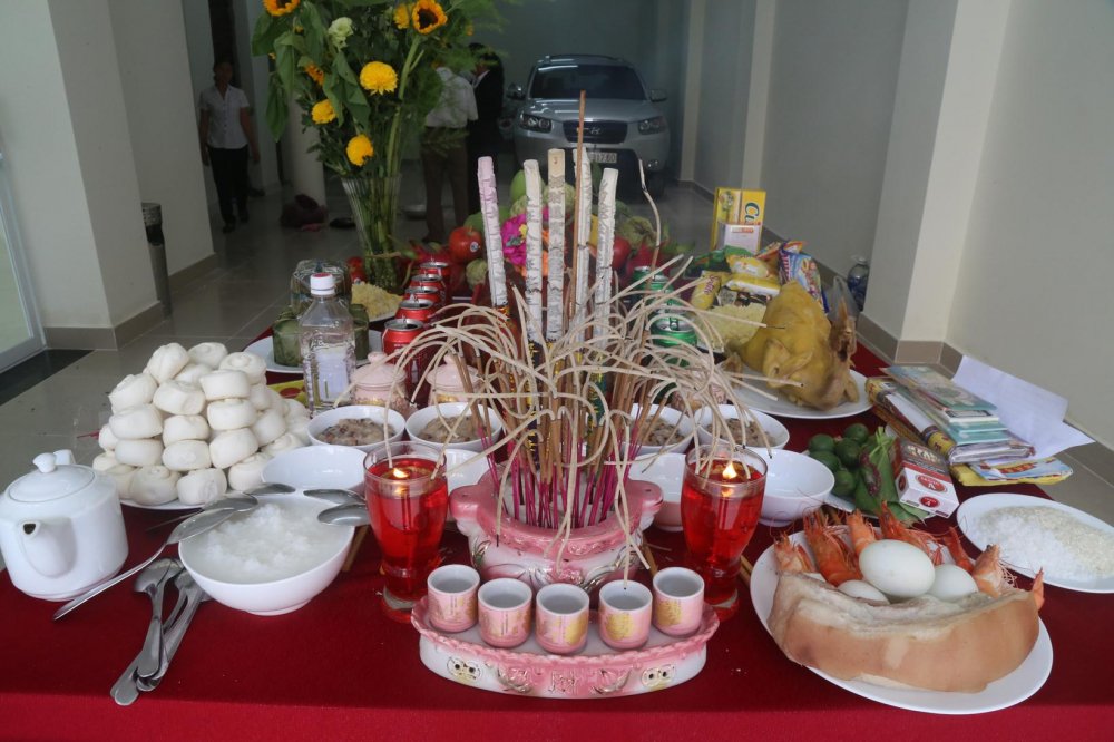 cung khai truong