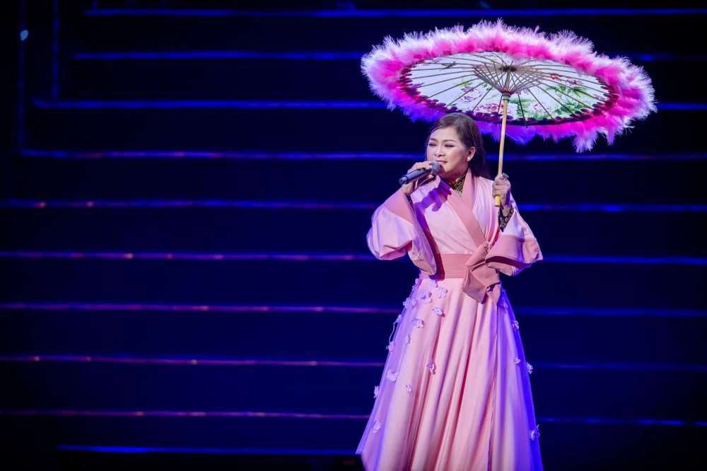 liveshow che linh (11) 9