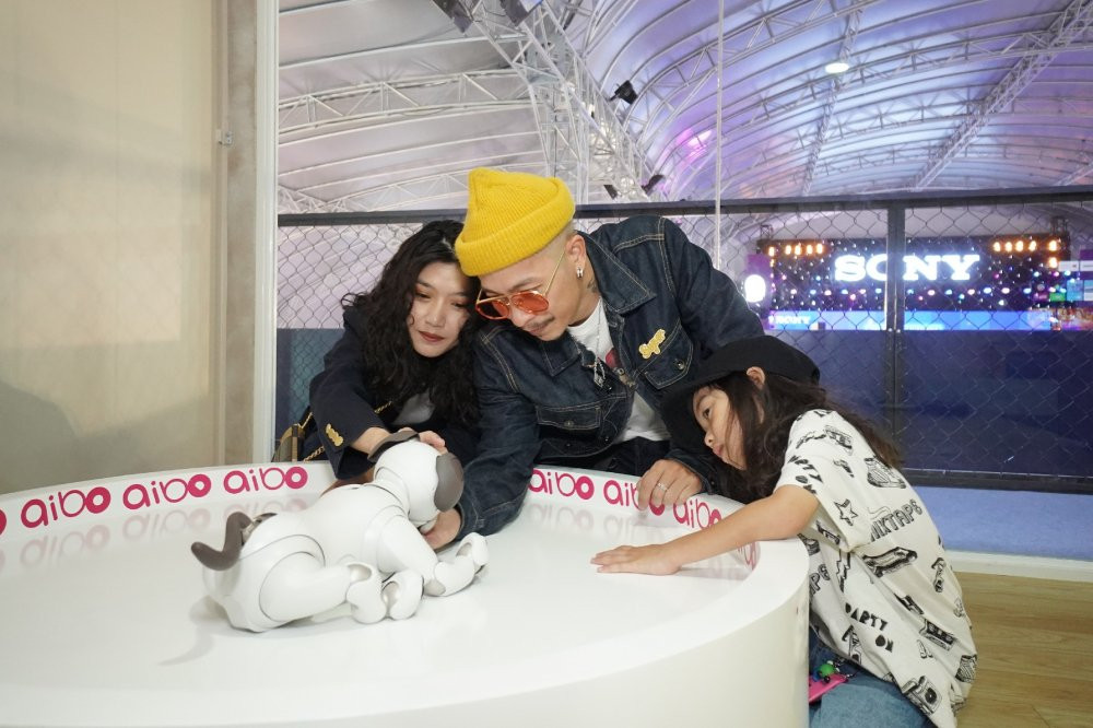 daodienvietmax (3) 3