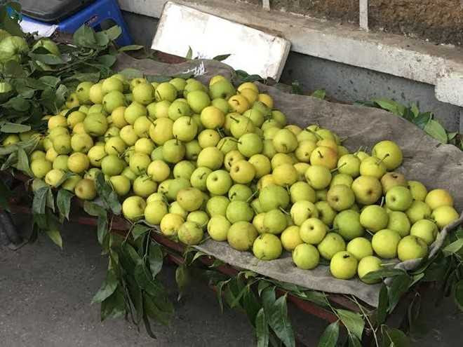 Qua le la sieu ngot dat khap via he Ha Noi hinh anh 1