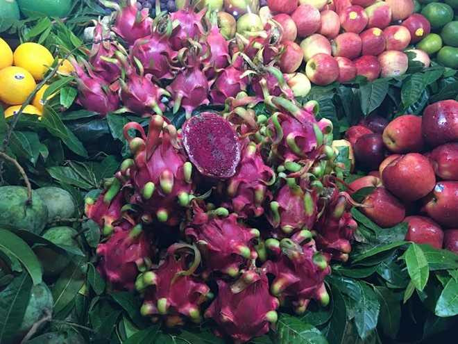 Ra den Ha Noi, thanh long ruot do dat gap 30 lan hinh anh 2