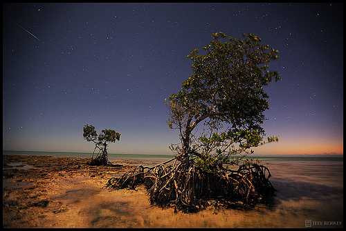 Ảnh đẹp lung linh trận mưa sao băng sáng 29/7 - 6