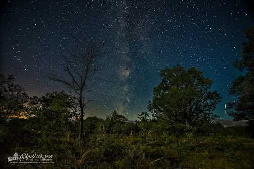 Ảnh đẹp lung linh trận mưa sao băng sáng 29/7 - 7