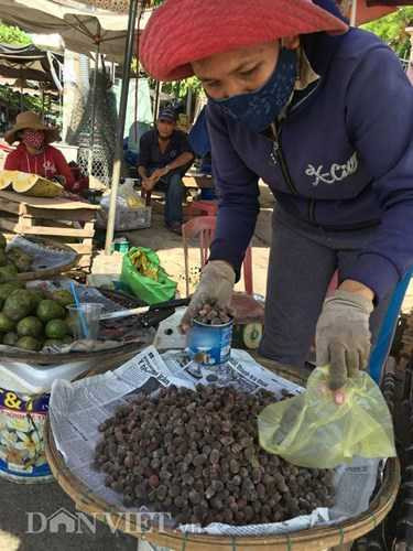 dan-thanh-thi-phat-sot-voi-trai-sim-rung-hinh-6