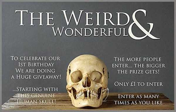 10-giai-thuong-xo-so-hiem-co-kho-tin-nhat-lich-su-hinh-5