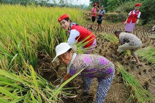 nu tiep vien hang khong tq di giay cao got gat lua hinh anh 4