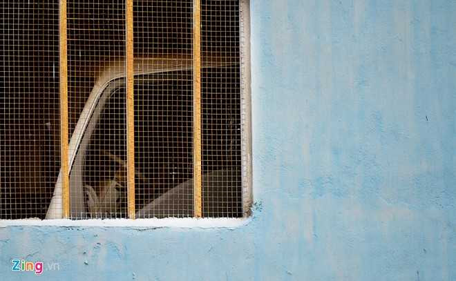 Nha may oto 'made in Viet Nam' o Ha Noi dap chieu hinh anh 8