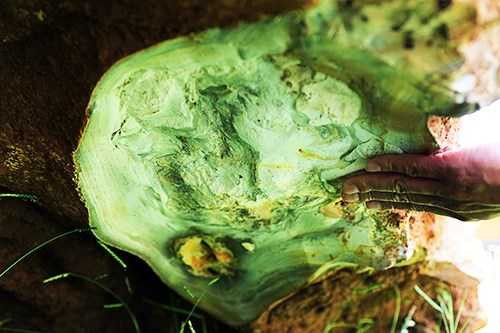 nhung-vu-tinh-co-duoc-ngoc-tien-ty-day-song-du-luan-hinh-10