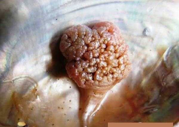 nhung-vu-tinh-co-duoc-ngoc-tien-ty-day-song-du-luan-hinh-3