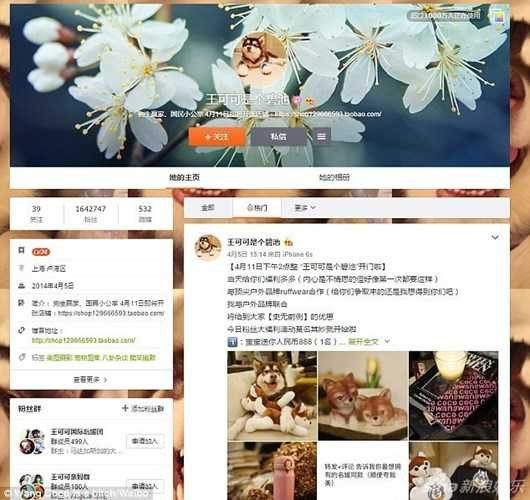 thieu-gia-vung-tien-lam-dep-cho-chu-cho-an-choi-bac-nhat-tq-hinh-2