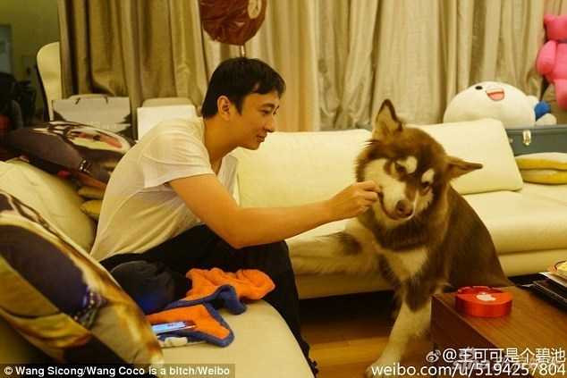 thieu-gia-vung-tien-lam-dep-cho-chu-cho-an-choi-bac-nhat-tq-hinh-3