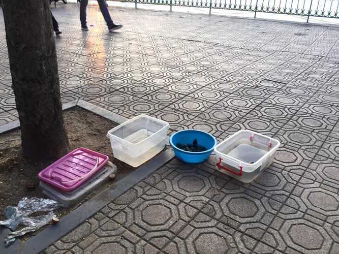 hang-quan-ven-ho-tay-the-nao-sau-dai-han-ca-chet-hang-loat-hinh-12