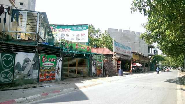 hang-quan-ven-ho-tay-the-nao-sau-dai-han-ca-chet-hang-loat-hinh-5