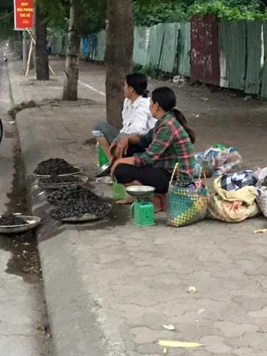 hang-quan-ven-ho-tay-the-nao-sau-dai-han-ca-chet-hang-loat-hinh-9