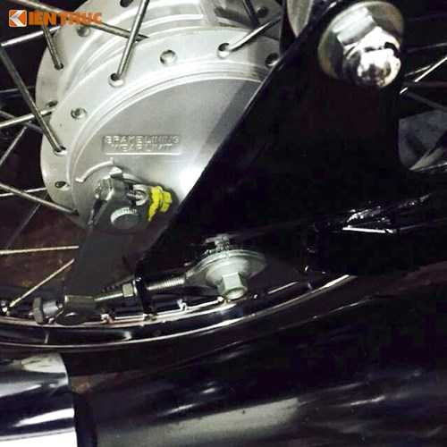 dan-xe-no-2-ky-tien-ty-sieu-doc-sieu-hiem-tai-vn-hinh-7