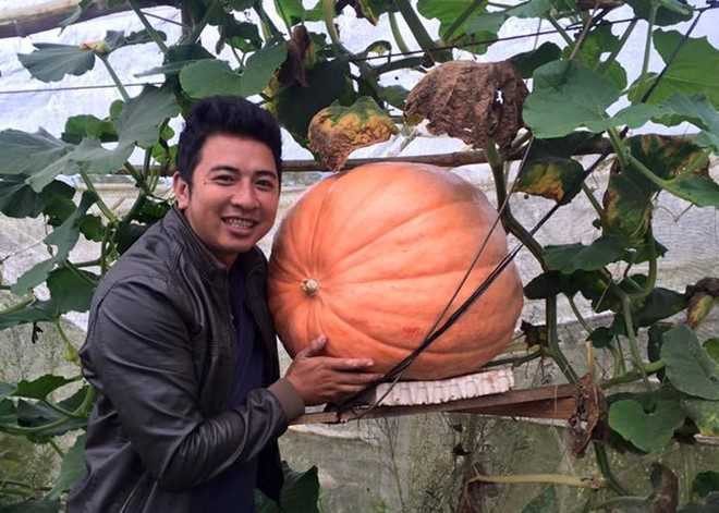 Bi ngo khong lo, 5 trieu/qua khach tranh nhau mua hinh anh 2