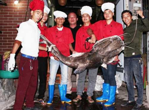 Con cá lăng nặng 75kg vừa được vận chuyển tới Hà Nội vào 2h hôm 10/11. Ảnh: Xuân Bách.