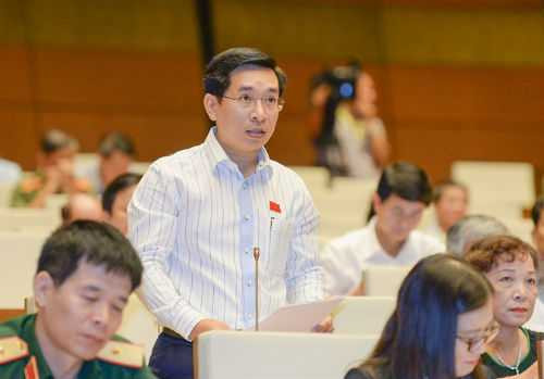 Đại biểu Nguyễn Văn Cảnh đề nghị bổ sung kho số điện thoại, biển số xe là tài sản công và đem đấu giá để thu tiền cho ngân sách. Ảnh: Q.H