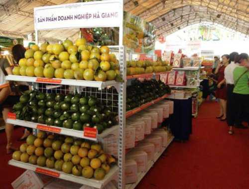 Cam chanh (màu vàng) và cam sành Hà Giang được dán tem truy suất và có chỉ dẫn địa lý. Ảnh: Thi Hà.