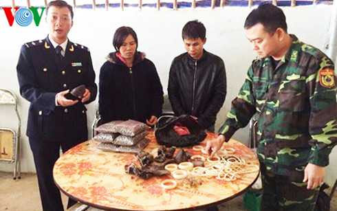 phat hien van chuyen trai phep tren 3 kg nghi nga voi sung te giac hinh 1