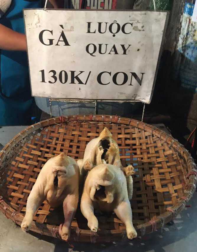 ga khong dau 1